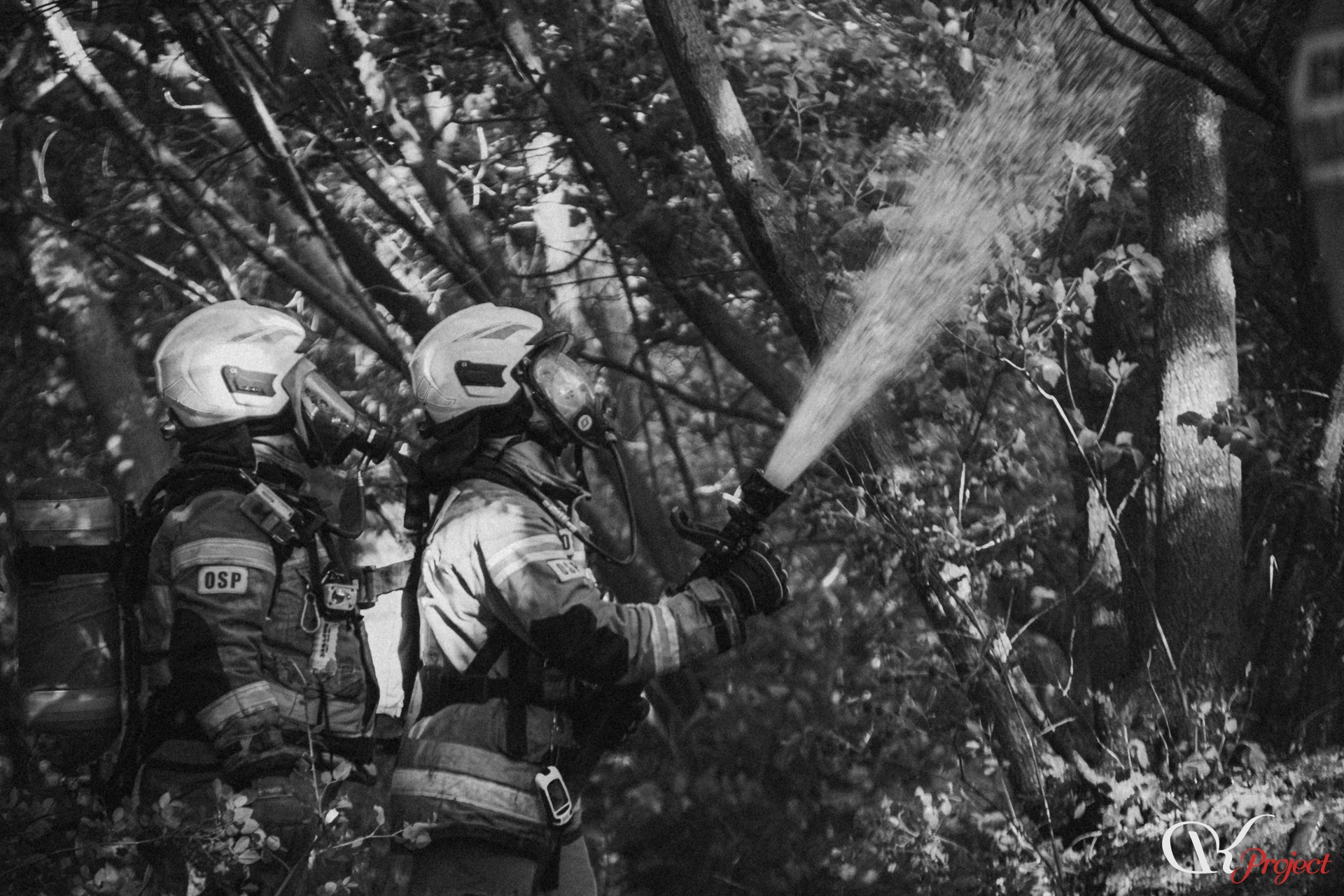 IMG_0774_bw